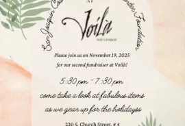 Voila Fundraiser